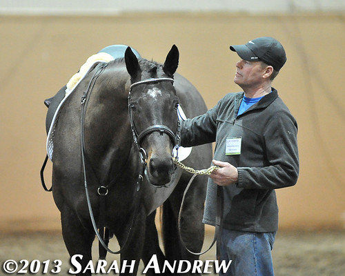 Declan's Moon at the PA Horse World Expo