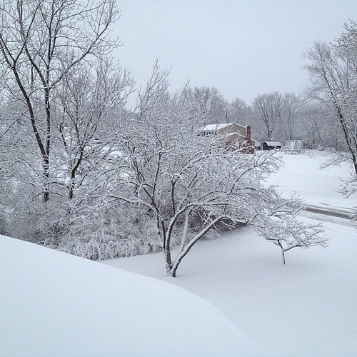 World in white #snow #snowday