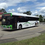 Kangaroo Bus Lines Morayfield