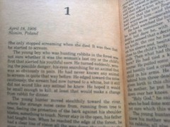 Chapter One, Kane and Abel by Jeffrey Archer