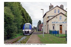 Auchy-les-Hesdin. Train from Arras to Calais arriving. 17.8.15