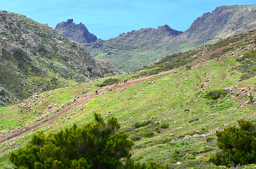 Teno Mountains, Tenerife