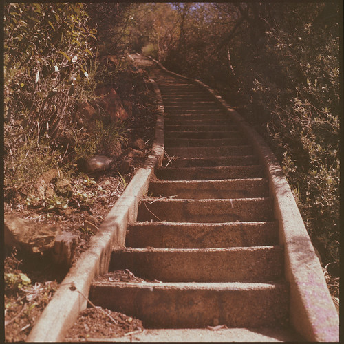 The Long Steps Up
