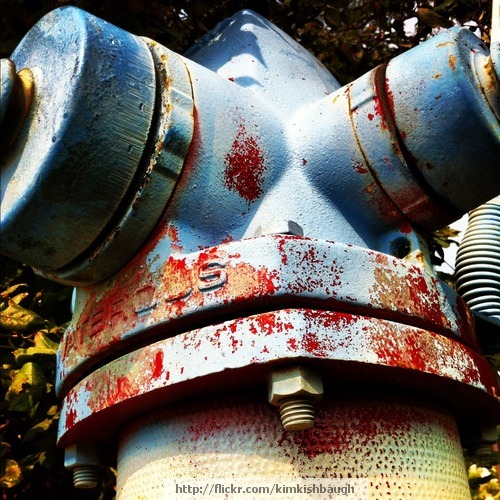 Rusting Fire Hydrant - Red/Blue
