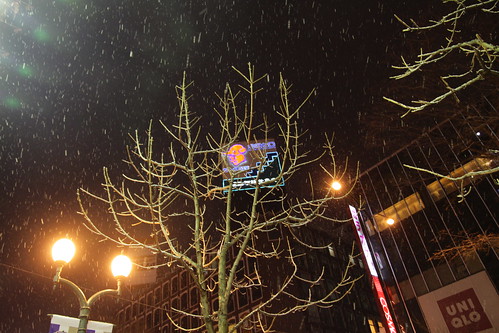 Snowing at night in Sapporo