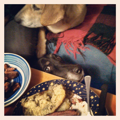 Lola creepin on dinner, with a little Sophie photobomb in the background #dogstagram