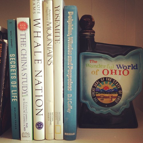Day65 Some of my favorite books on my bookcase. 3.6.13 #jessie365