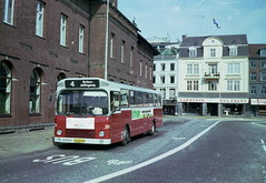 European Buses