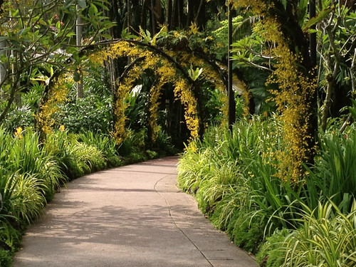 Singapore Orchid Gardem archways