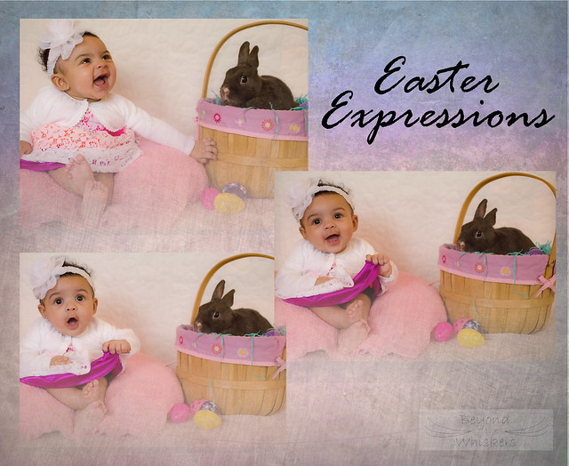 Easter Expressions