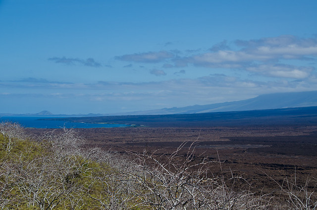 Galapagos: Isabela Island, near Lake Darwin