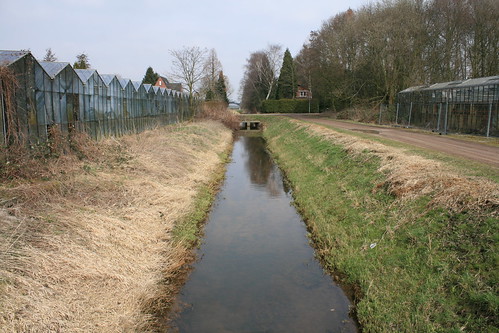 Rijnbeek