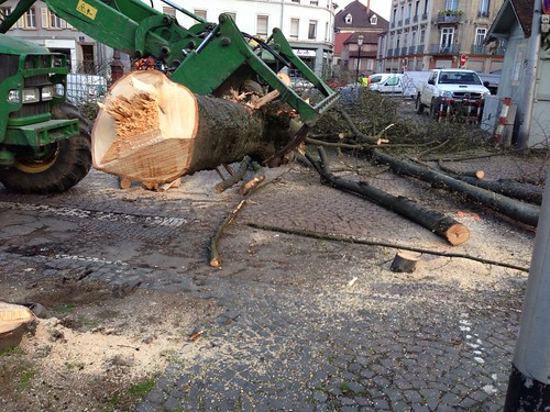Place du massacre des arbres par Jean Rottner à Mulhouse