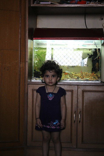 Nerjis Asif Shakir And Her Fish Aquarium by firoze shakir photographerno1
