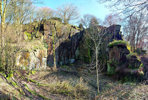 Old quarry - Naze wood by phil openshaw