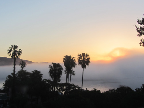 fog bank at dawn