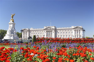 Buckingham Palace by jaxonparker1