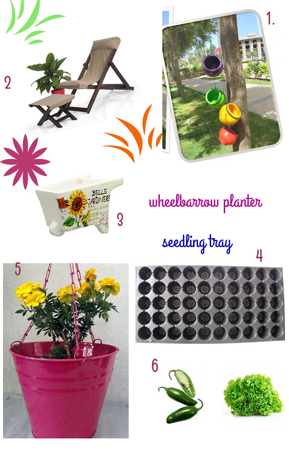 Friday Shopping: 6 picks to set up your balcony garden (mostly under Rs.1000)