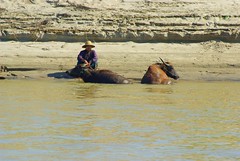 Life On Irrawaddy River