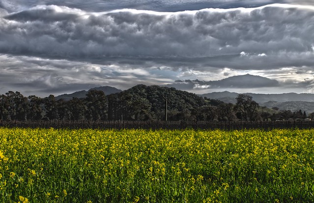 Clouds Over Napa_HDR2
