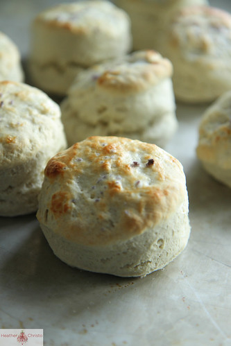 Blue Cheese Biscuits