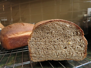 Honey Whole Wheat Bread with Poppy Seeds and Lemon Zest