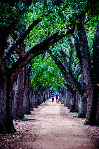 Path @ Rice University