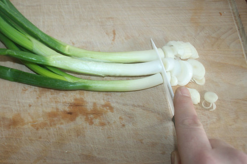32 - Frühlingszwiebeln in Ringe schneiden / Cut spring onions in rings
