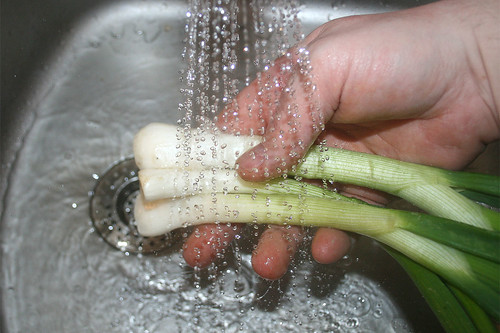 31 - Frühlingszwiebeln waschen / Clean spring onions