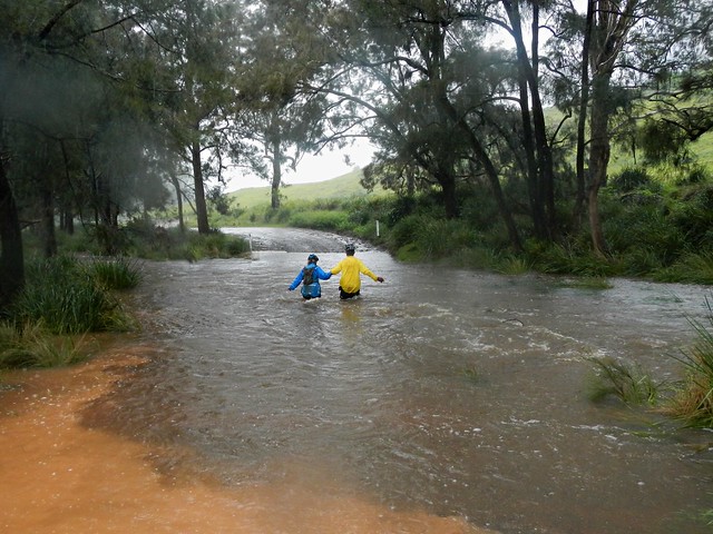 Crossing Koreelah Creek
