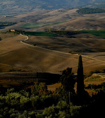 Countryside-Orcia Valley-Vallée d'Orcia-Valle d'Orcia-Tuscany-Toscana-Italy