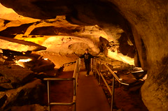Mammoth Cave March 2013