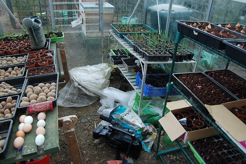 greenhouse Apr 13