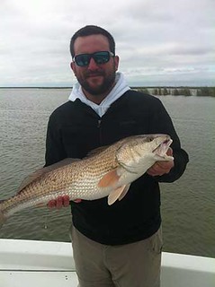 Nice Louisiana Redfish