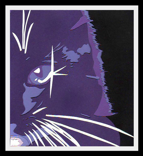 Purple Cat-(pop-art papercut) by bernie.levine (new year, new beginning)