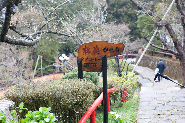 2013 阿里山櫻花季 -283
