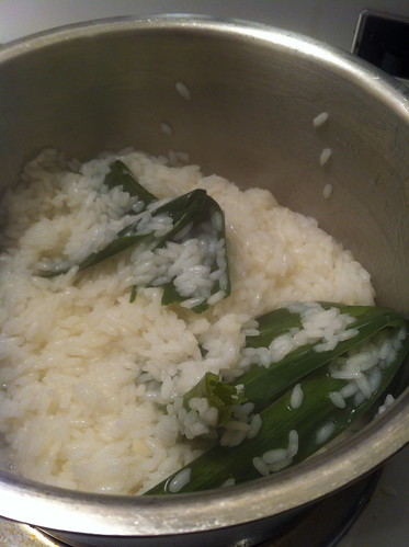 Cooking sticky rice with pandan