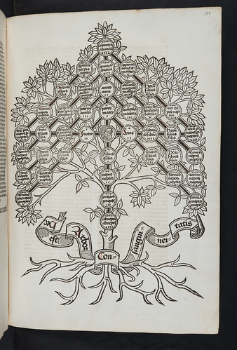 Woodcut illustration in Ferrariis, Johannes Petrus de: Practica nova judicialis