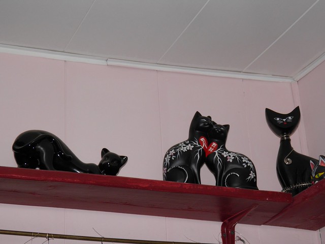 Коты на полках // Cats on shelf