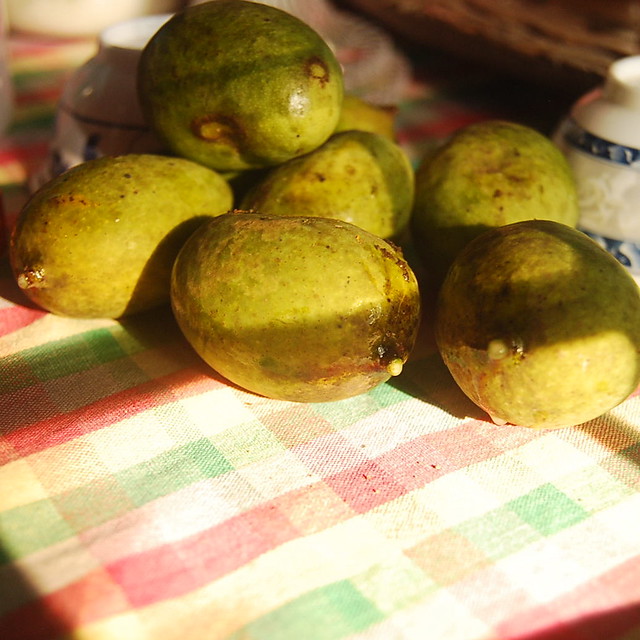 summer sun and mangoes.
