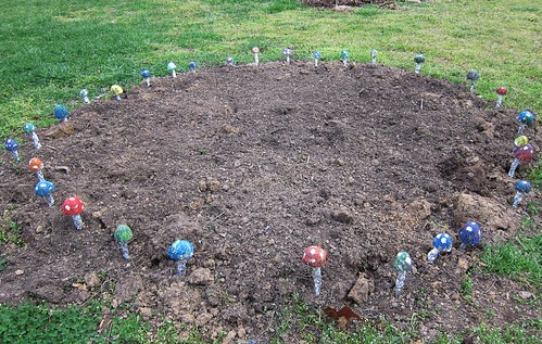 Fairy circle flower bed