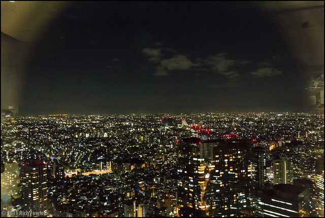 The view from the Tokyo Metropolitan Building