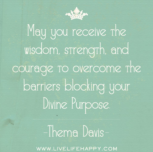 May you receive the wisdom, strength, and courage to overcome the barriers blocking your divine purpose. - Thema Davis