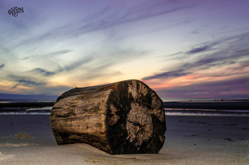 A Lone Log at Dusk by eHopePhotography
