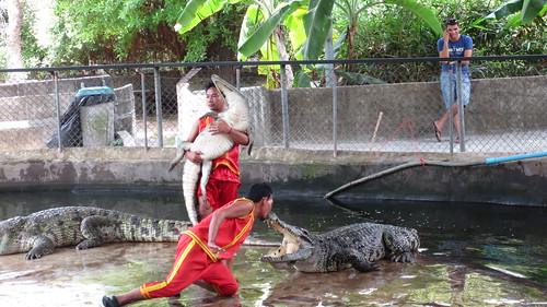 Koh Samui Crocodile Farm サムイ島 クロコダイルファーム (10)