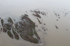 OWOC Wetlands, River, City Flyover