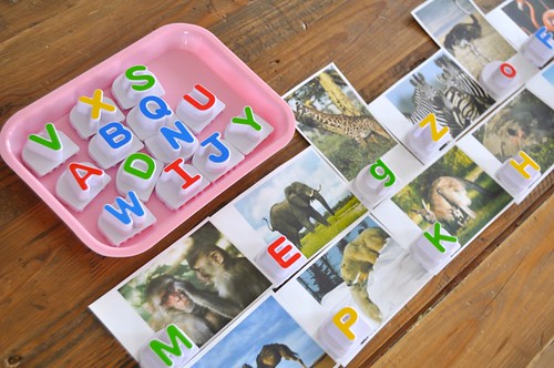 Zoo Cards and Alphabet Letters