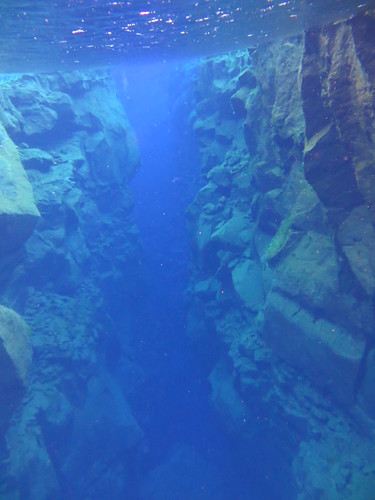 Wedged Between the Tectonic Plates: Snorkeling Under the Midnight Sun