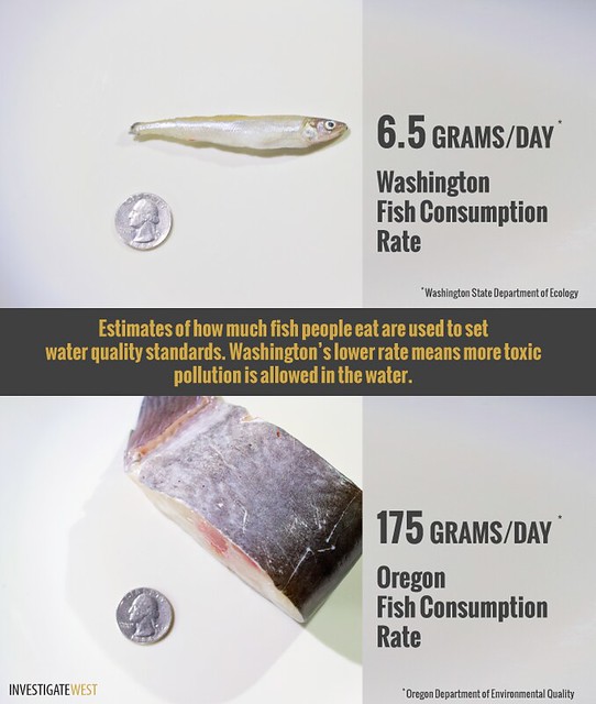 Fish Consumption Rates