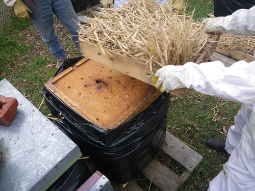 Adding a vent box to beehive